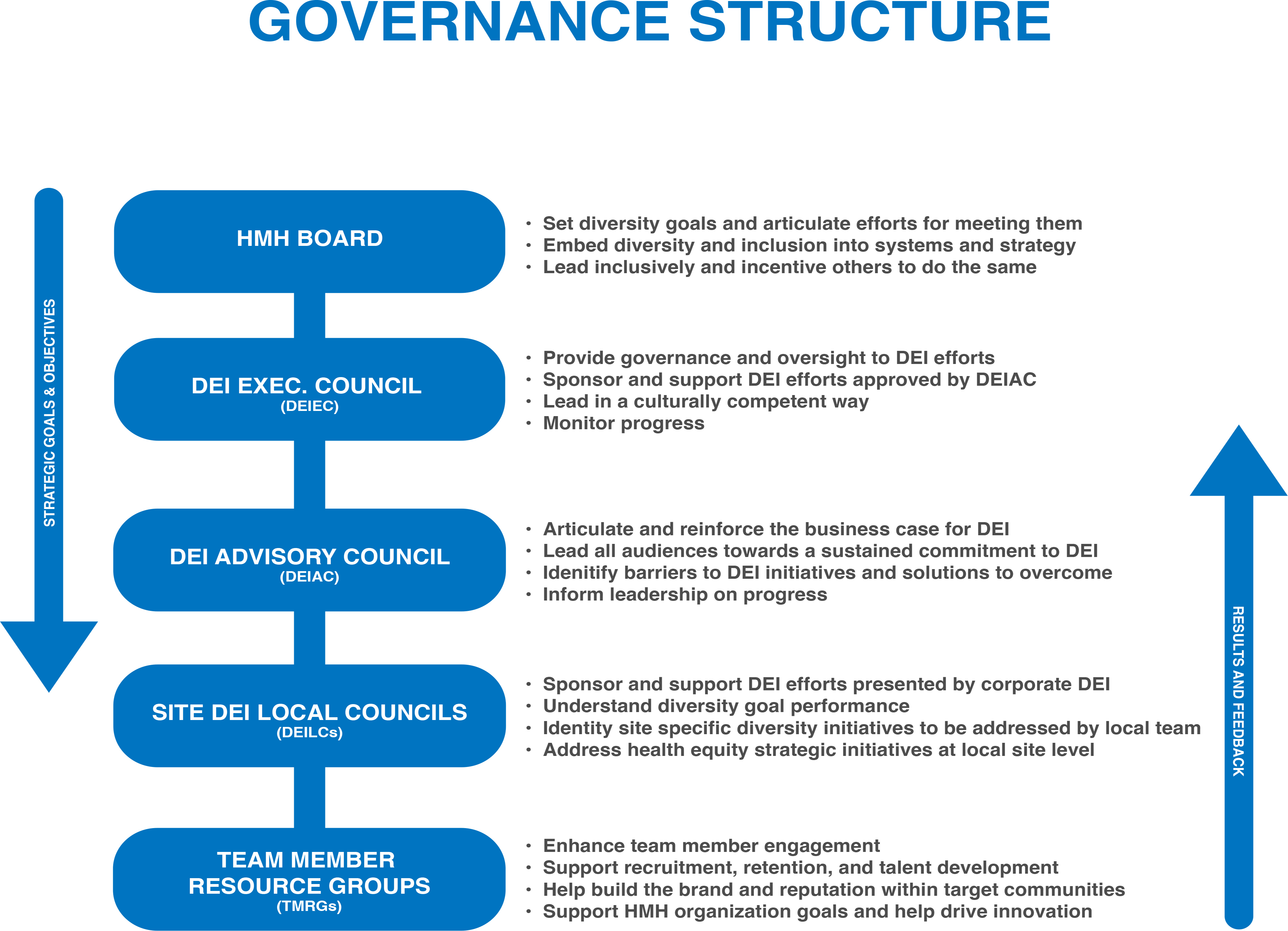 DEI Governance Structure 