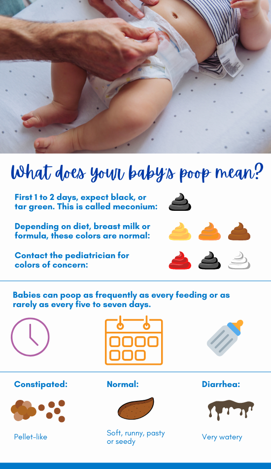 Graphic sharing what your baby's poop means.