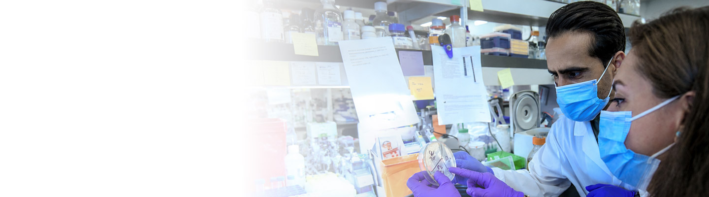 Researchers examining samples in laboratory