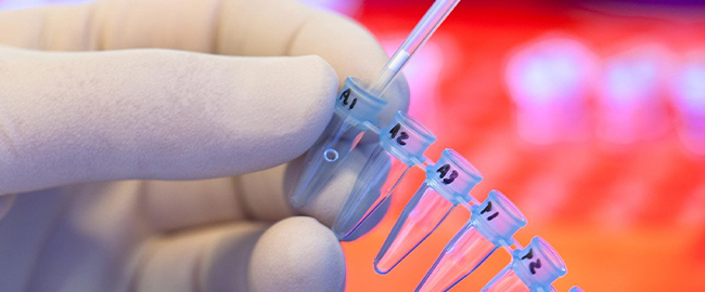 before undergoing genetic testing for cancer