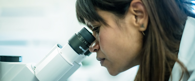 Office of Research Administration