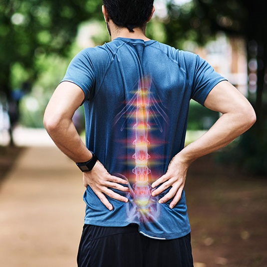 Strengthening Your Spine