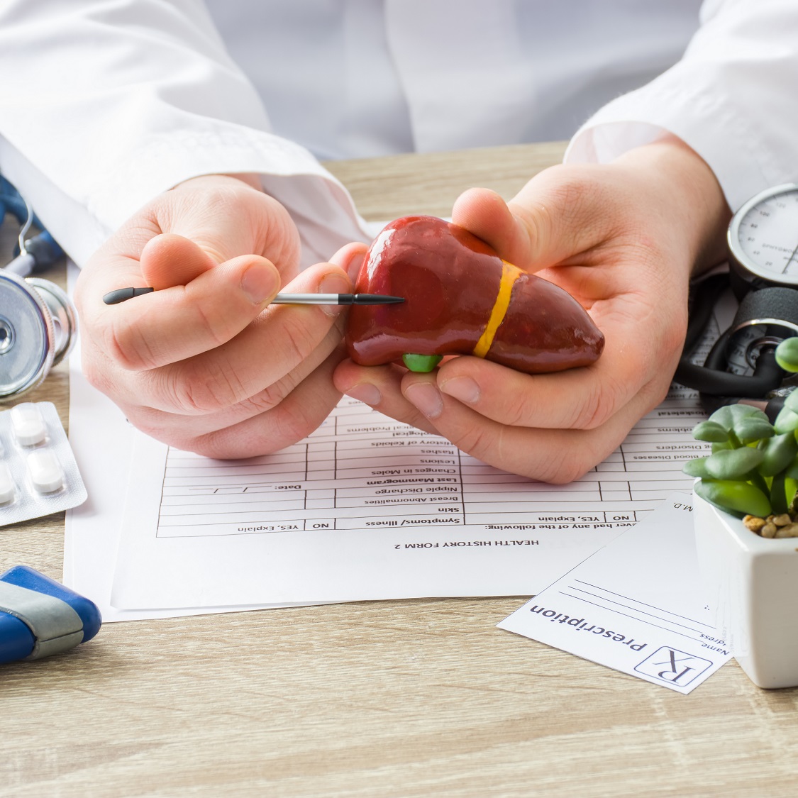 Hands showing a spot on a liver model