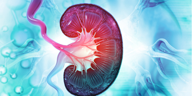 kidney cancer resource center