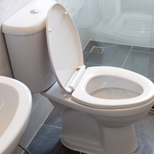 White toilet bowl in a bathroom.