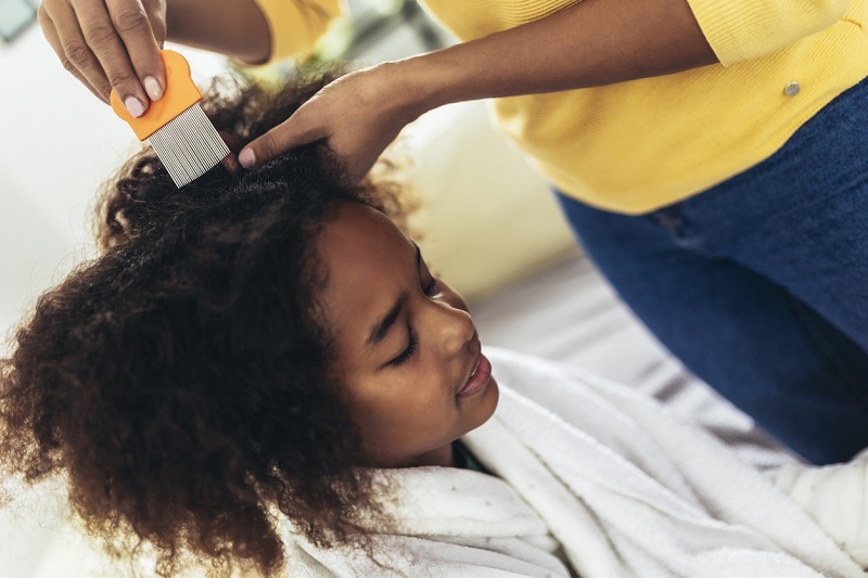 Mother doing head lice cleaning on her daughter curly hair.