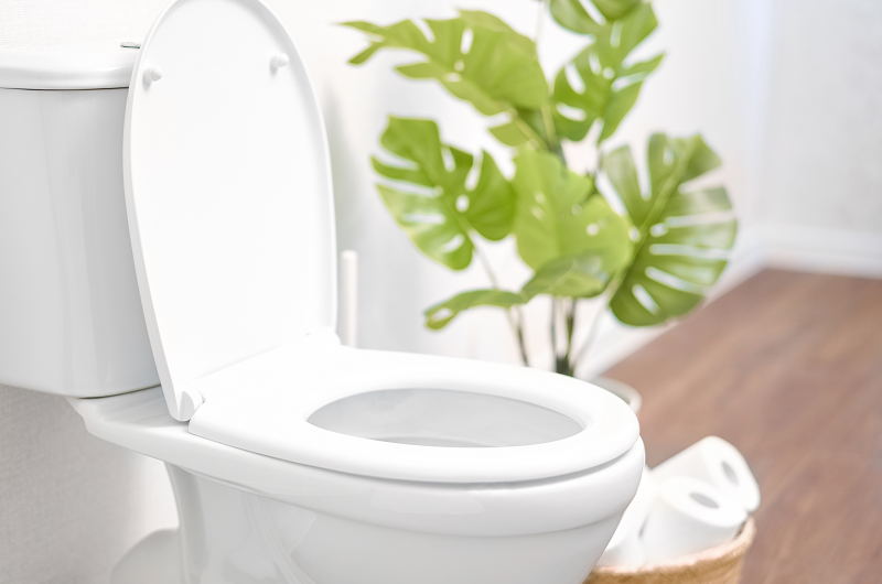 Ceramic toilet bowl with toilet paper near light wall