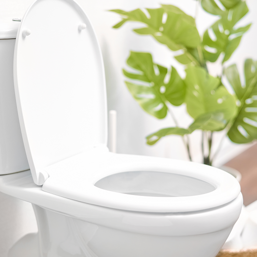 Ceramic toilet bowl with toilet paper near light wall