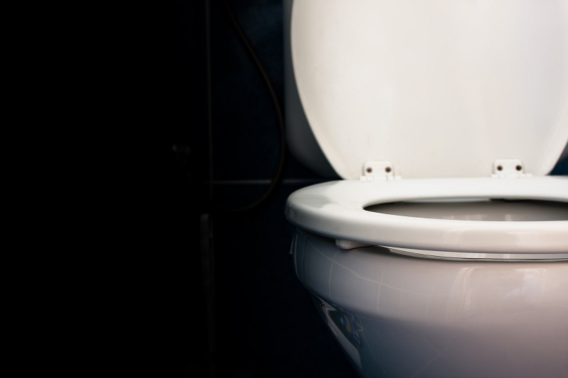 A close-up shot of a toilet.