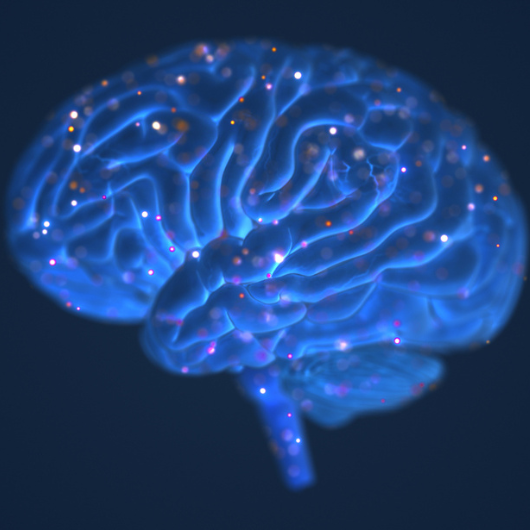 Neurons communicate with each other via electrical events called 'action potentials' and chemical neurotransmitters.