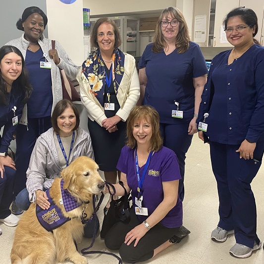 Group of nurses and team members at JFK University Medical Center standing around a pet therapy dog.