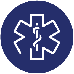 Health & Wellness Icon