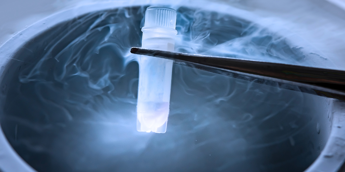 Fertility Preservation Program