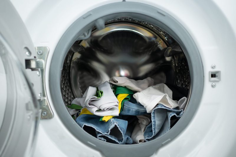 can bacteria survive in the washing machine