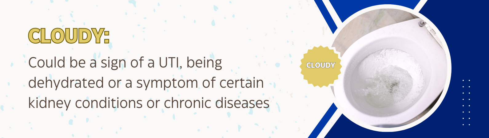 Cloudy: a sign of a UTI, being dehydrated or a symptom of certain kidney conditions or chronic diseases