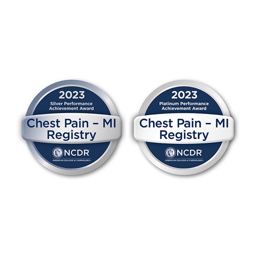 NCDR 2023 Badges