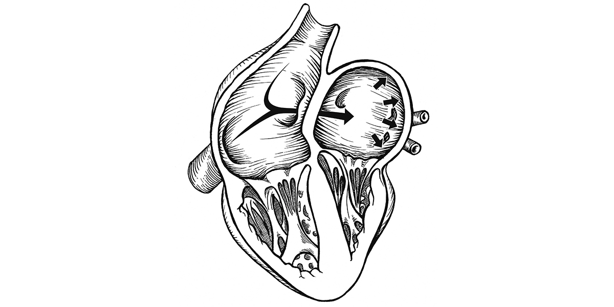 Heart and Brain Center